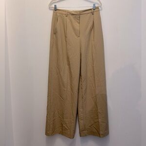 Nwot Zara Wide Leg high waisted trousers with darts.